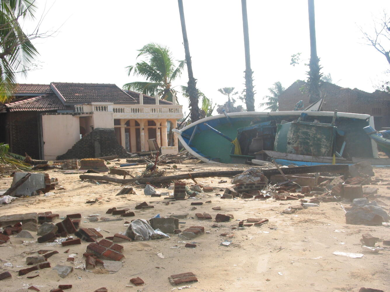 சுனாமி நினைவு நாள் – கட்டுரை