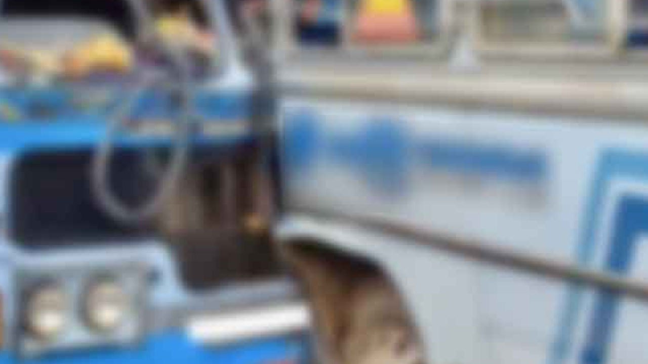 இரண்டு தனியார் பேருந்துகள் நேருக்கு நேர் மோதி விபத்து; 40 பேர் காயம்